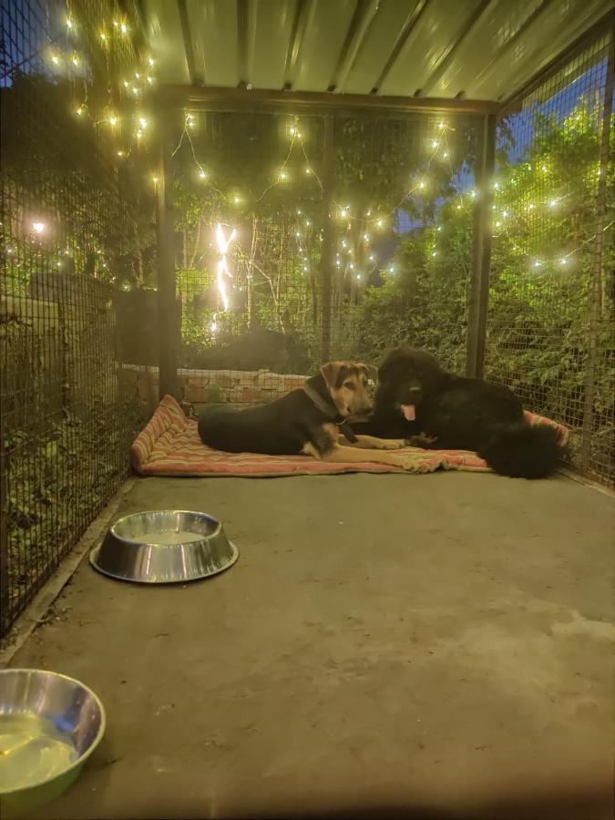 H7Stay Luxury Cottages And Camps, Rishīkesh Dış mekan fotoğraf